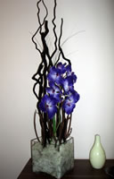 Interiérová dekorace